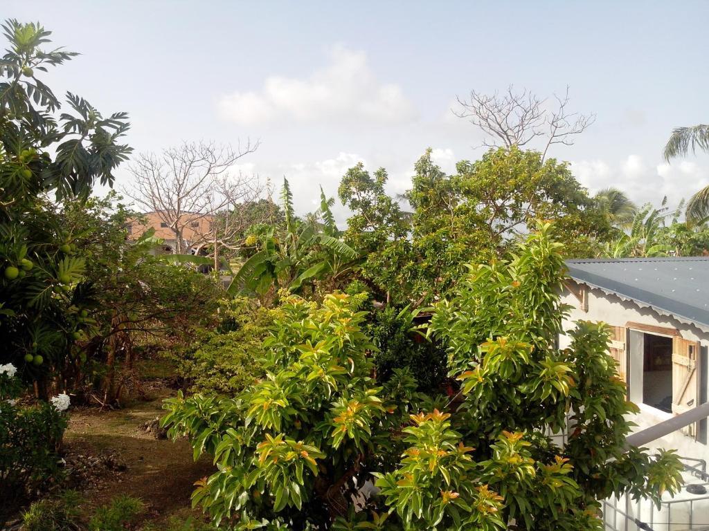 Maison Des Alizes Gros Cap Bilik gambar